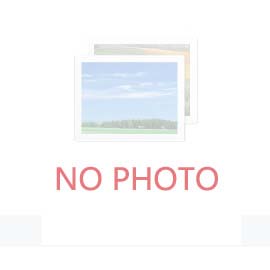 黃石晨信光電股份有限公司局部視覺點膠機(jī)采購